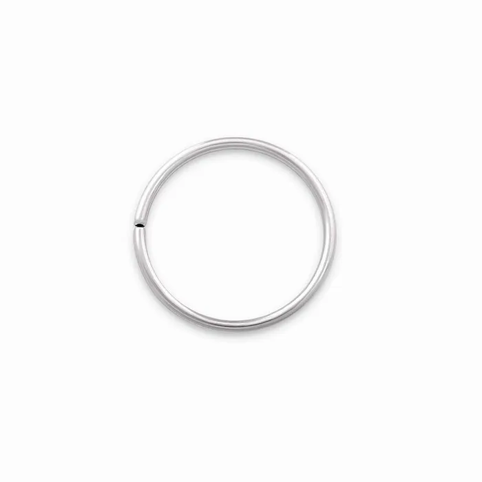 Painful Pleasures 20g Seamless Annealed Stainless Steel Ring Male Sex Toys