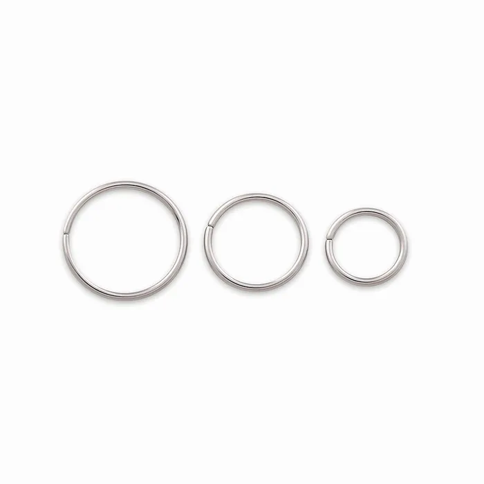 Painful Pleasures 20g Seamless Annealed Stainless Steel Ring Male Sex Toys