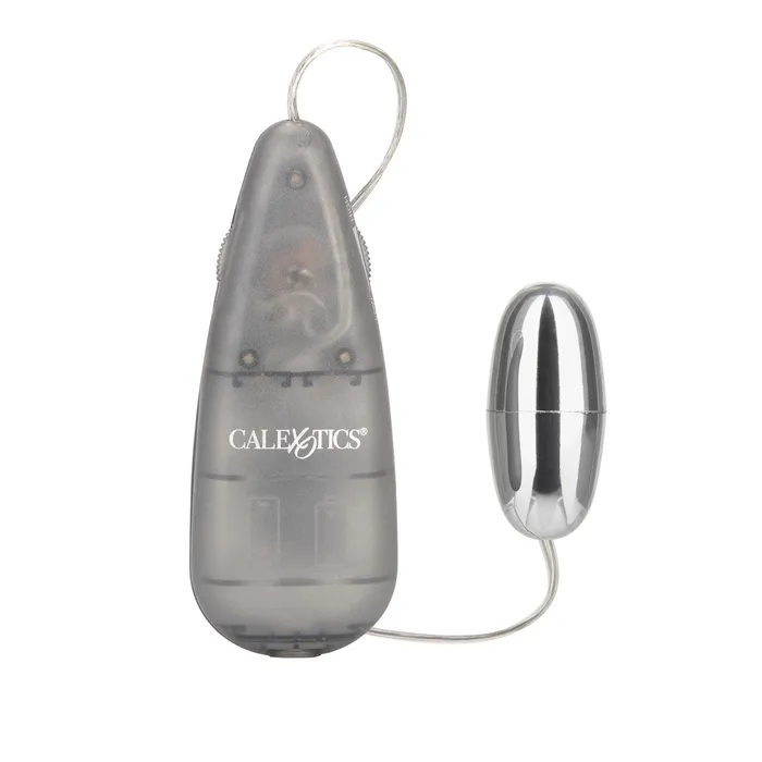 BULLET GREY CASE Fairvillacom Vibrators