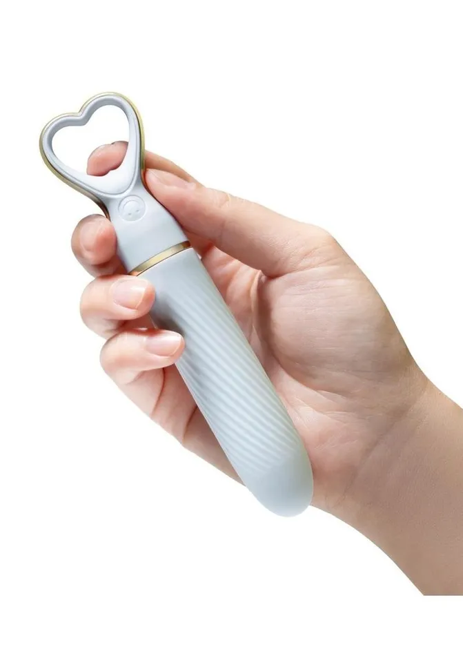 Delice Vibrators Love Passion Petite Vibe