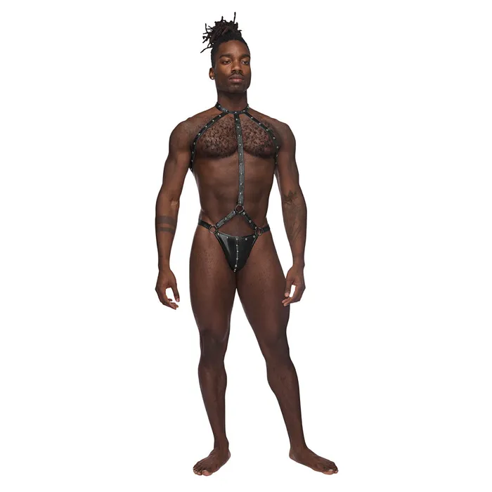 Fairvillacom Anal Gladiator Black LXl
