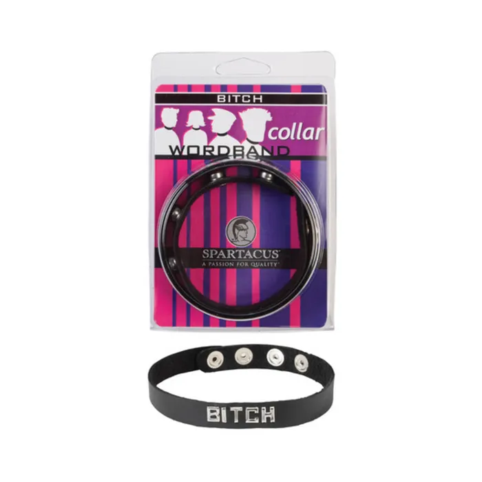 Fairvillacom Anal Wordband Collar Bitch Black