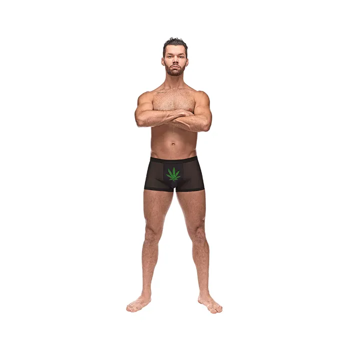 Fairvillacom Male Sex Toys Mp Private Screening Shortpotleaf Bk Xl