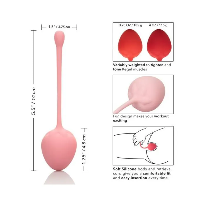 Kegel Training Set Strawberry 6 Piece Fairvillacom Female Sex Toys Kegel Training Set Strawberry 6 Piece Fairvillacom Female Sex Toys