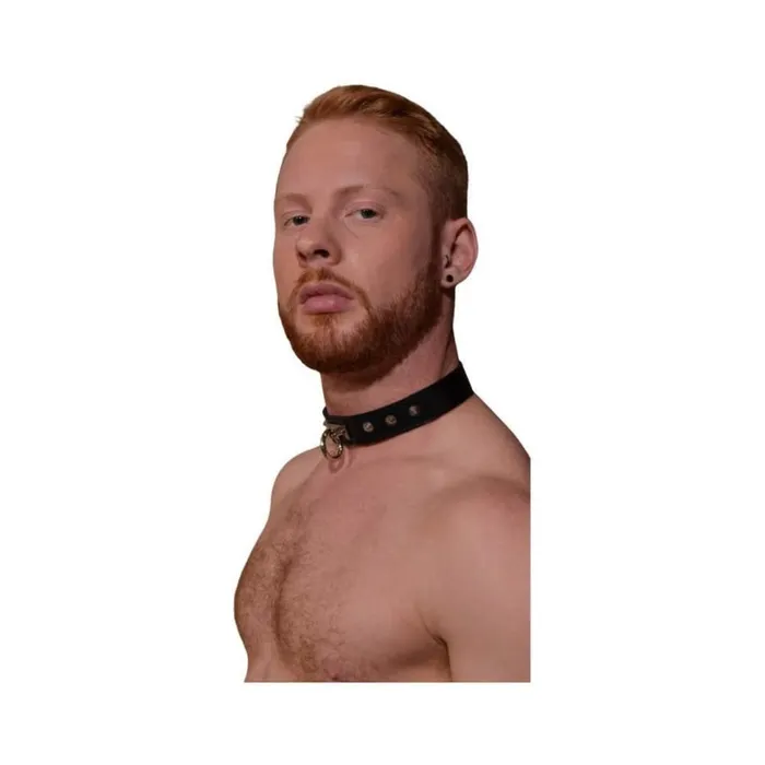 Rouge Oring Studded Collar thinner Black Fairvillacom Anal