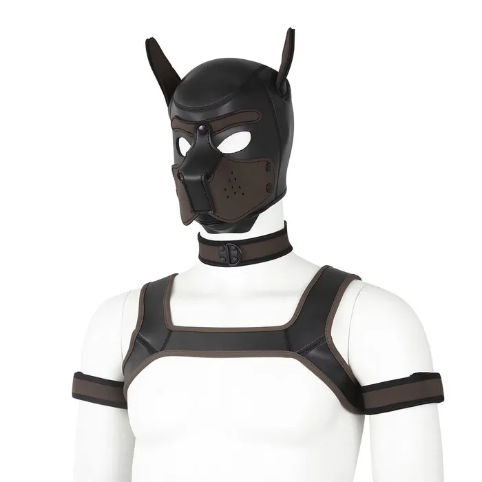 Couples Dog Hood Bondage Kit LoveLife SexToys