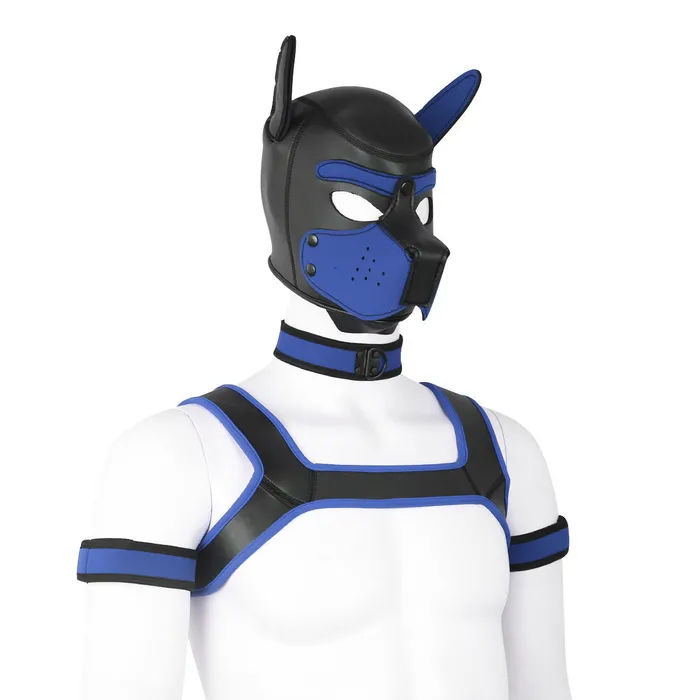 Couples Dog Hood Bondage Kit LoveLife SexToys