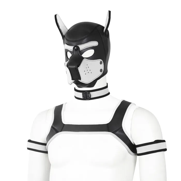 Couples Dog Hood Bondage Kit LoveLife SexToys