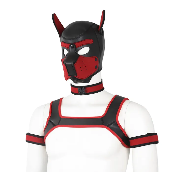 Couples Dog Hood Bondage Kit LoveLife SexToys