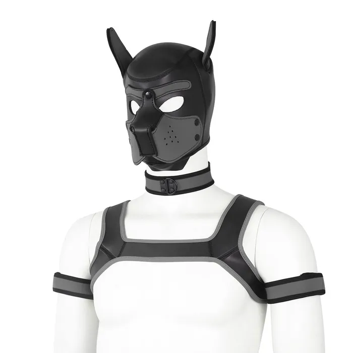 Couples Dog Hood Bondage Kit LoveLife SexToys