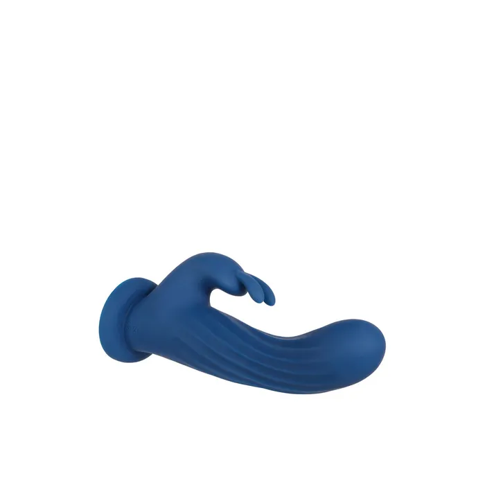 Evolved Remote Rotating Rabbit Evolved Sex Toys Vibrators