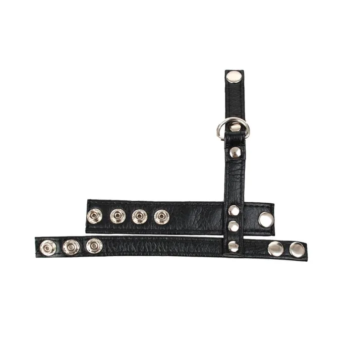 Kinkstasy Male Sex Toys Leather Cockring Scrotum Bound CBT Ball Stretcher
