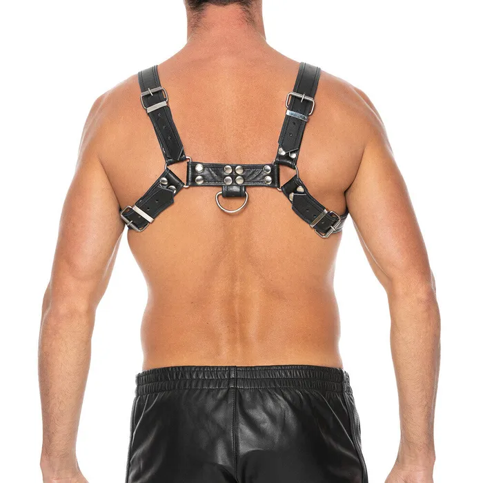 Shots Toys Anal Ouch Chest Bulldog Harness Black Large to Xlarge