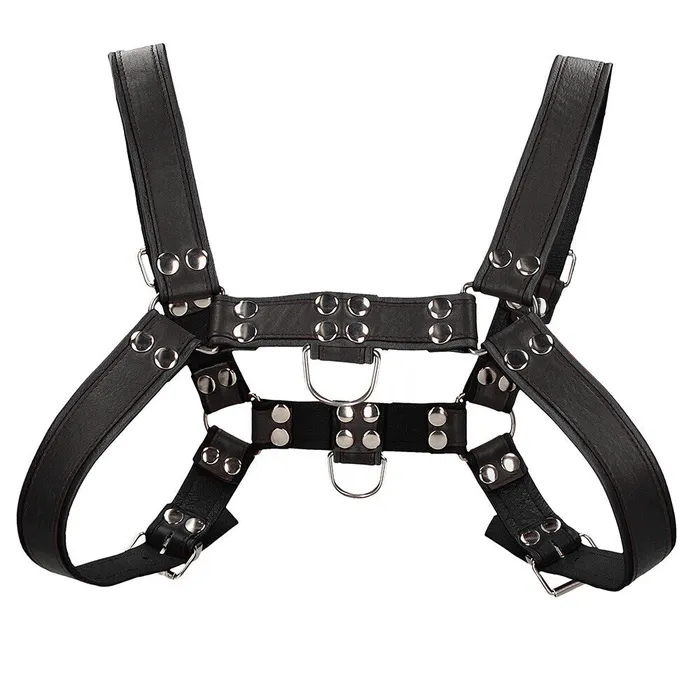 Shots Toys Anal Ouch Chest Bulldog Harness Black Large to Xlarge
